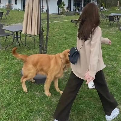 拿着手术刀的猎人